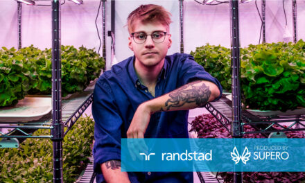 Randstad – Knut Green
